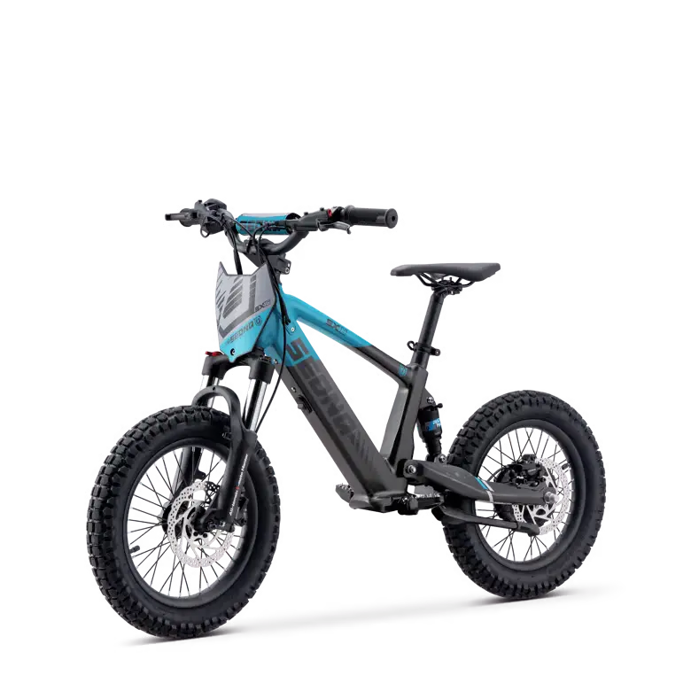 Sedna SX 16 bleu (5)