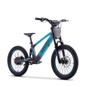 Sedna SX 20" Bleu 2026